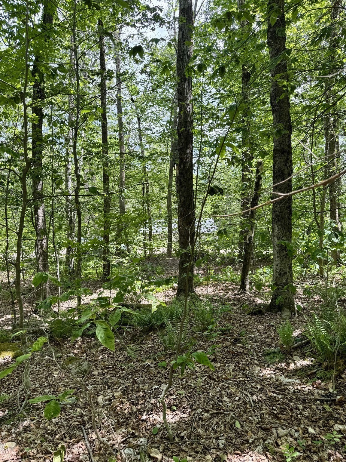 main property photo 20
