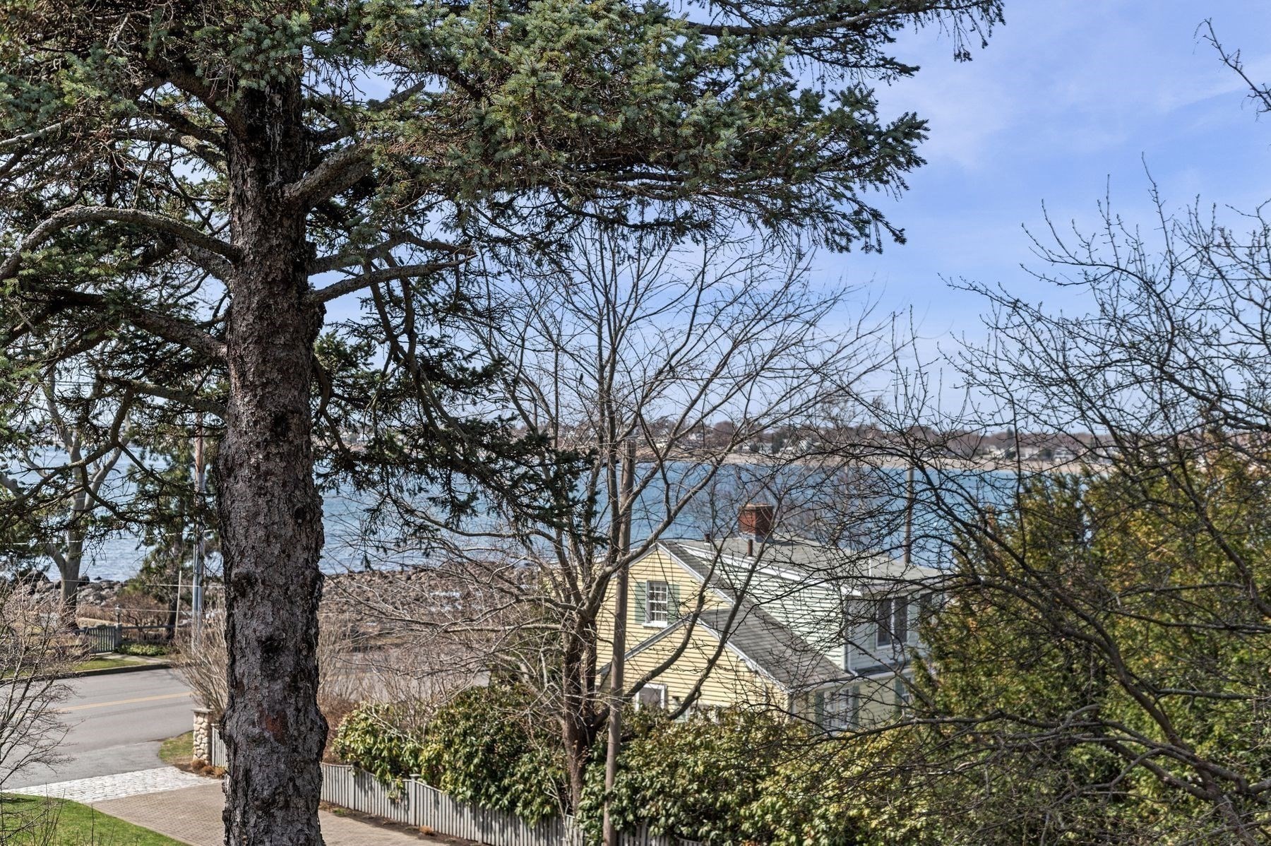 main property photo 14