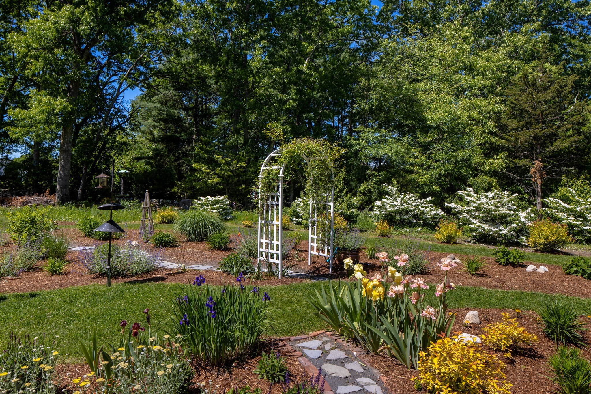 main property photo 6