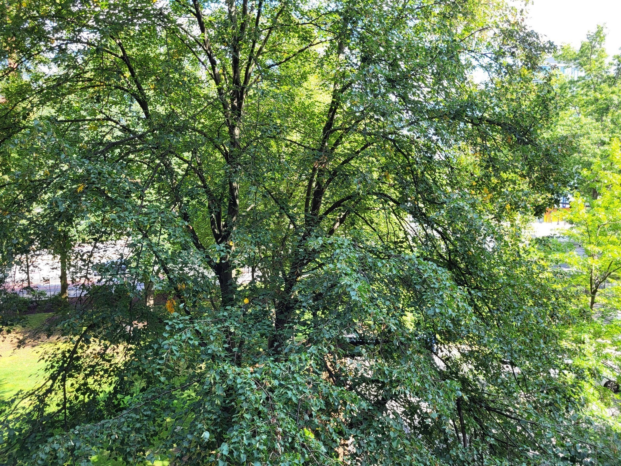 main property photo 9