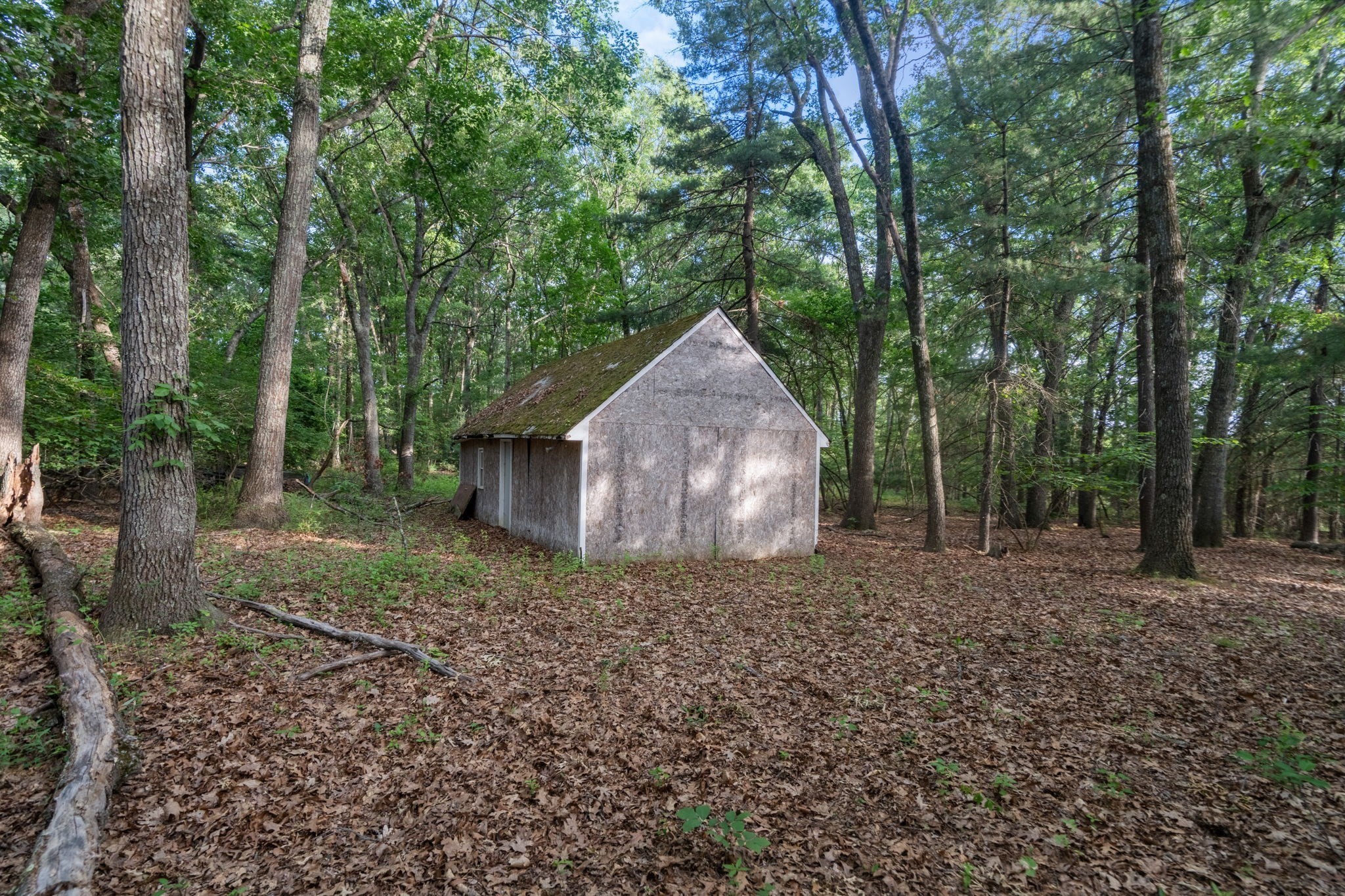 main property photo 37