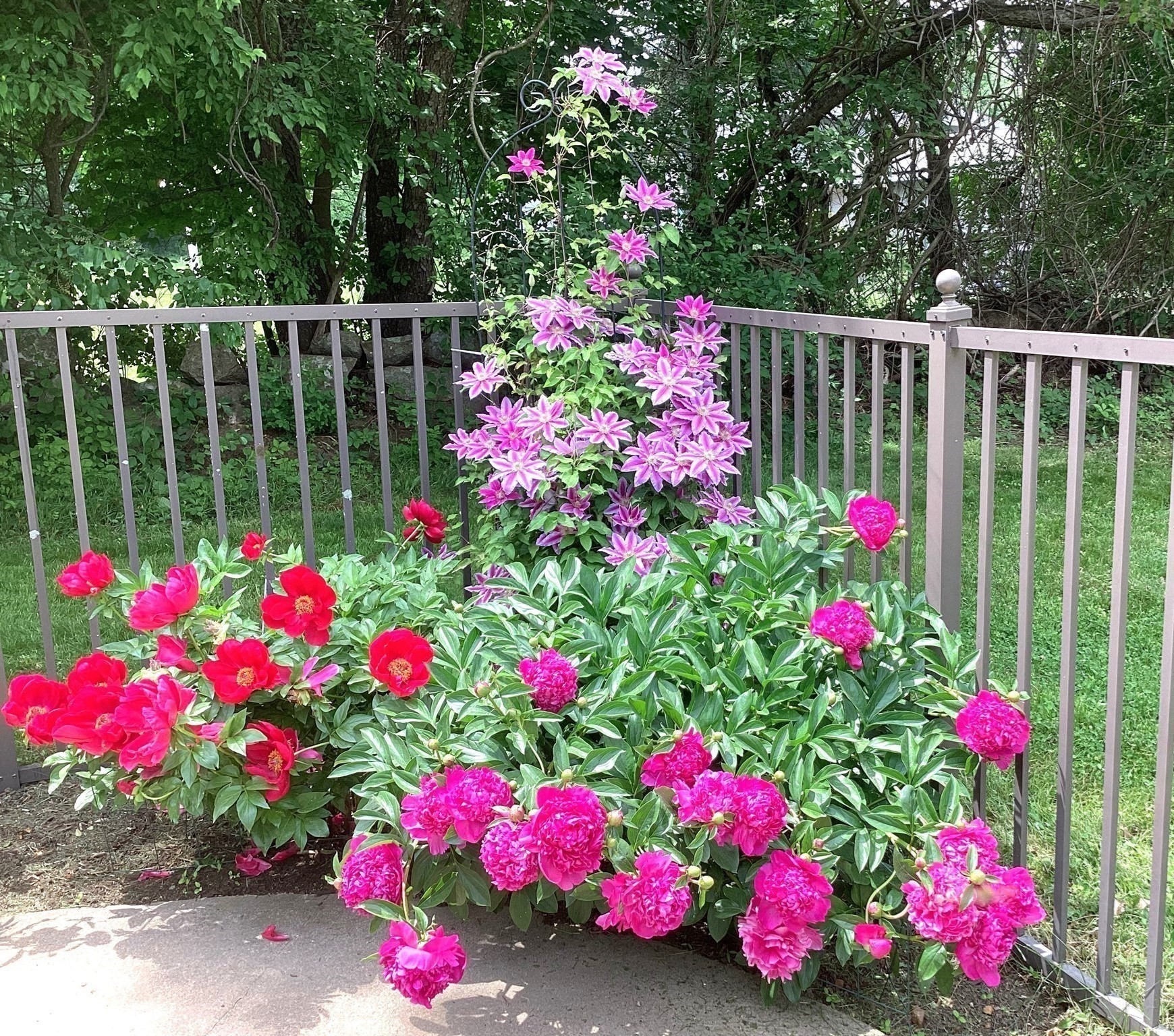 main property photo 8