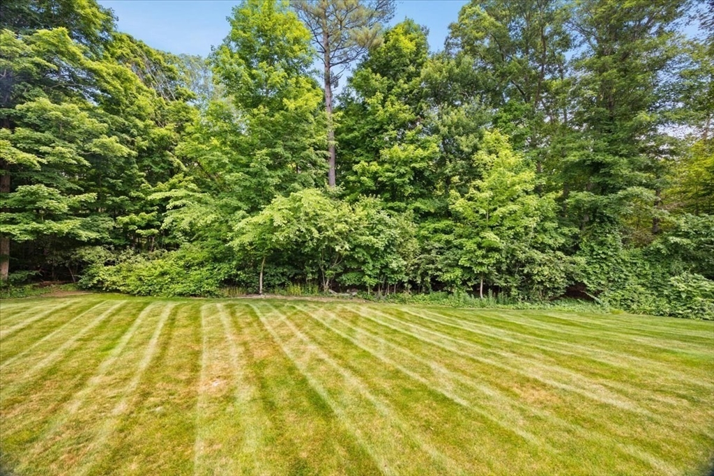property viewer photo 9