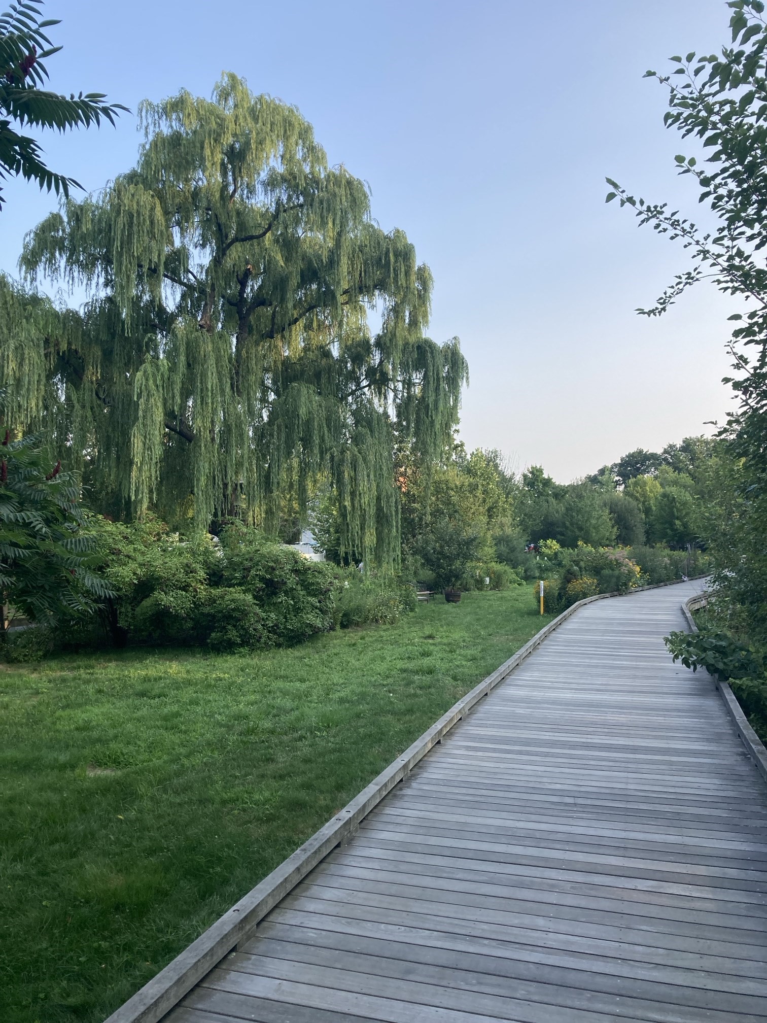 main property photo 41