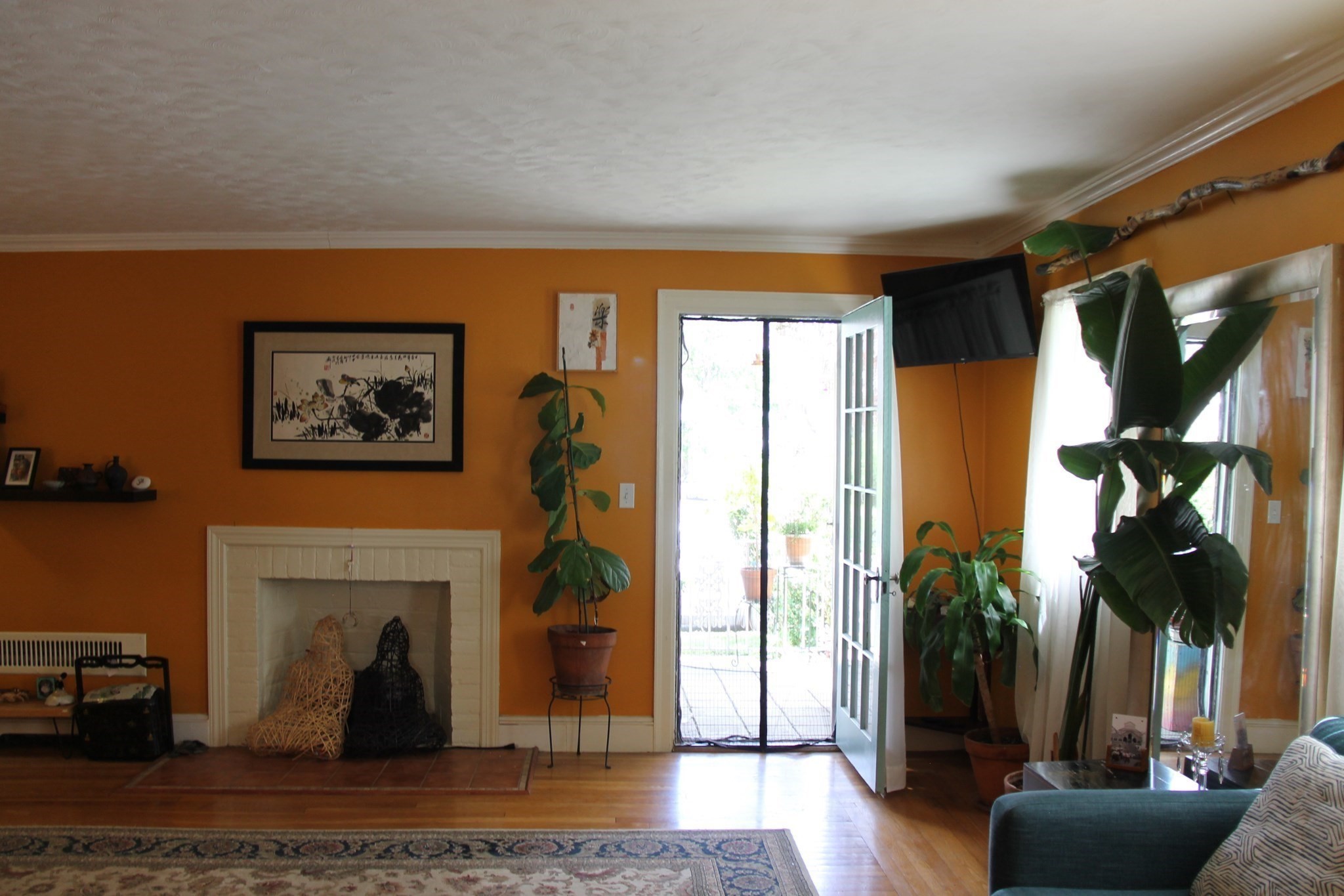 main property photo 14