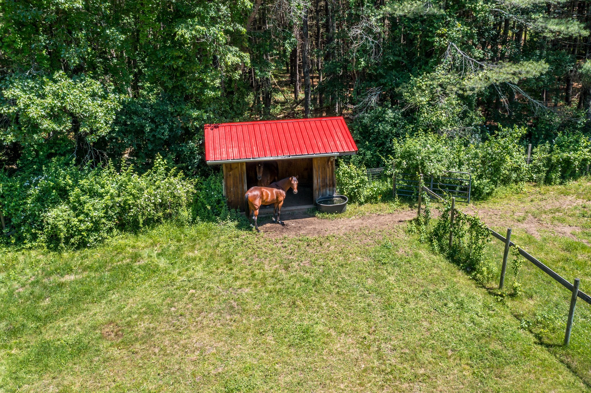 main property photo 40
