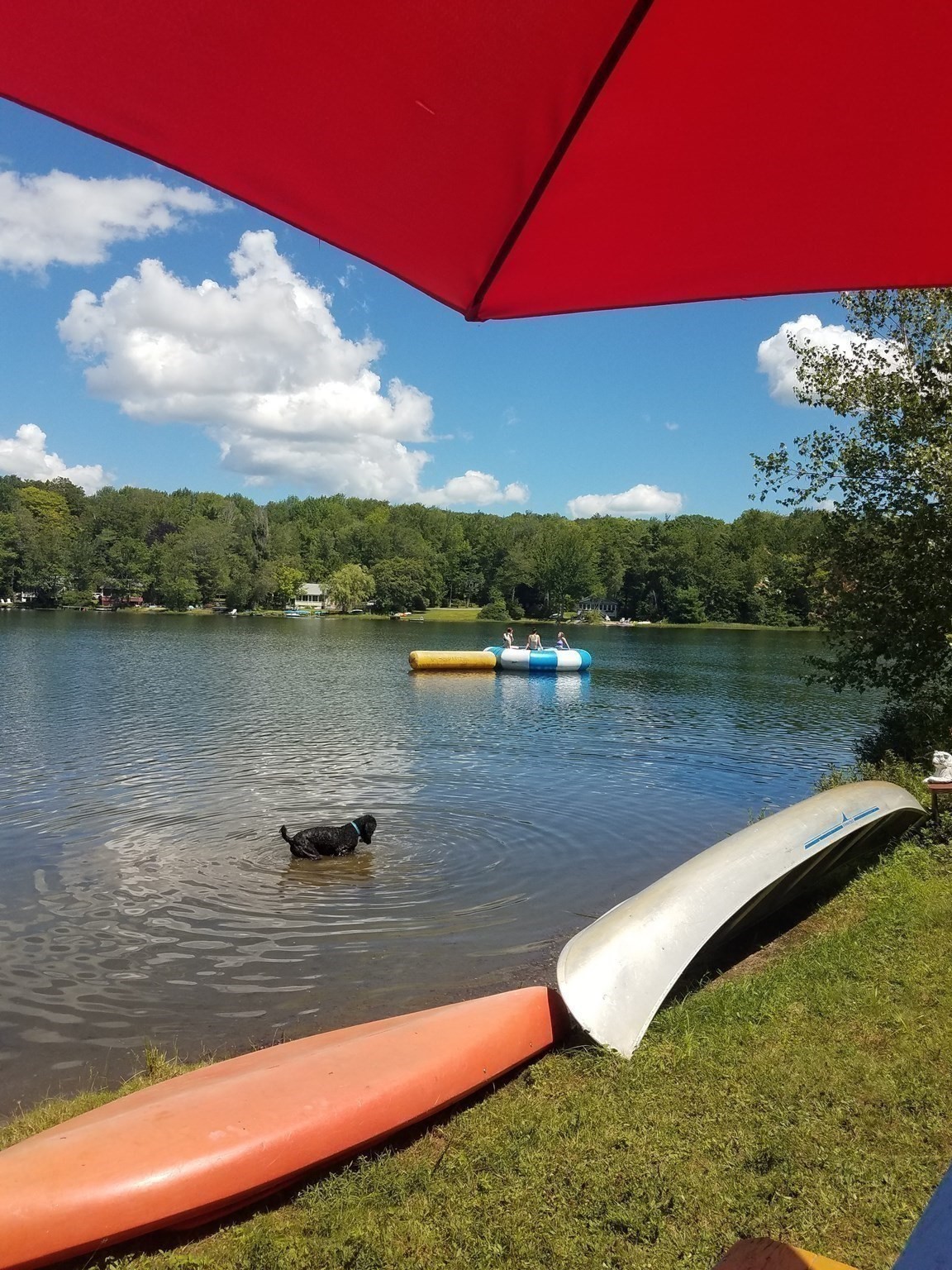 main property photo 37