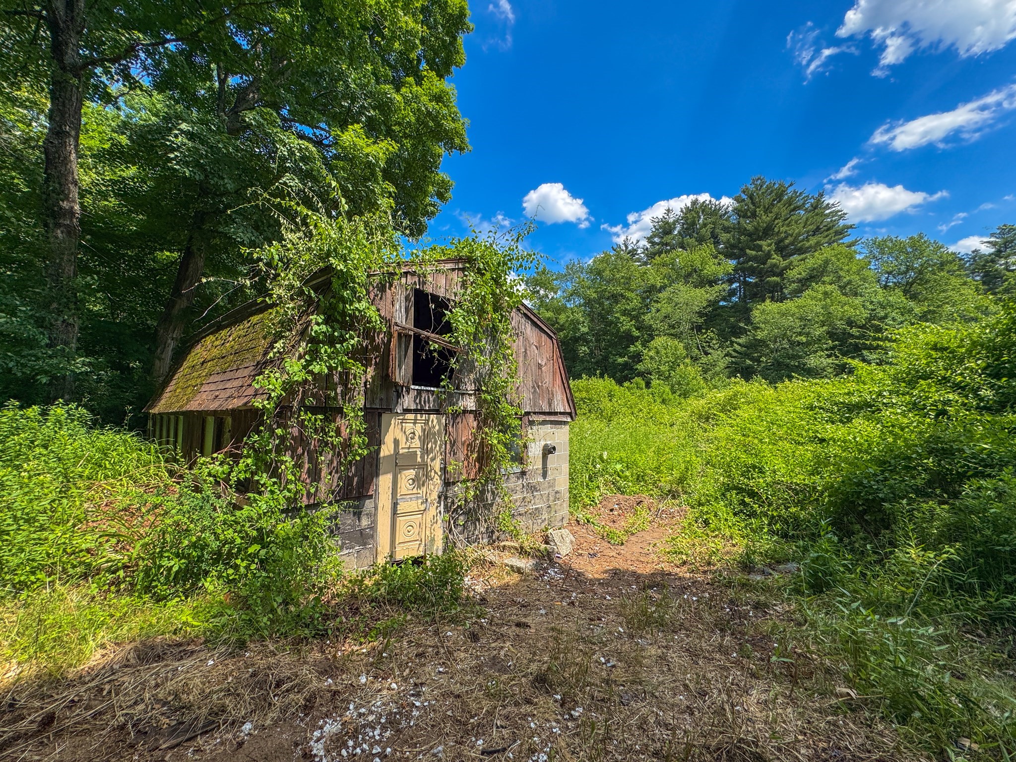main property photo 31