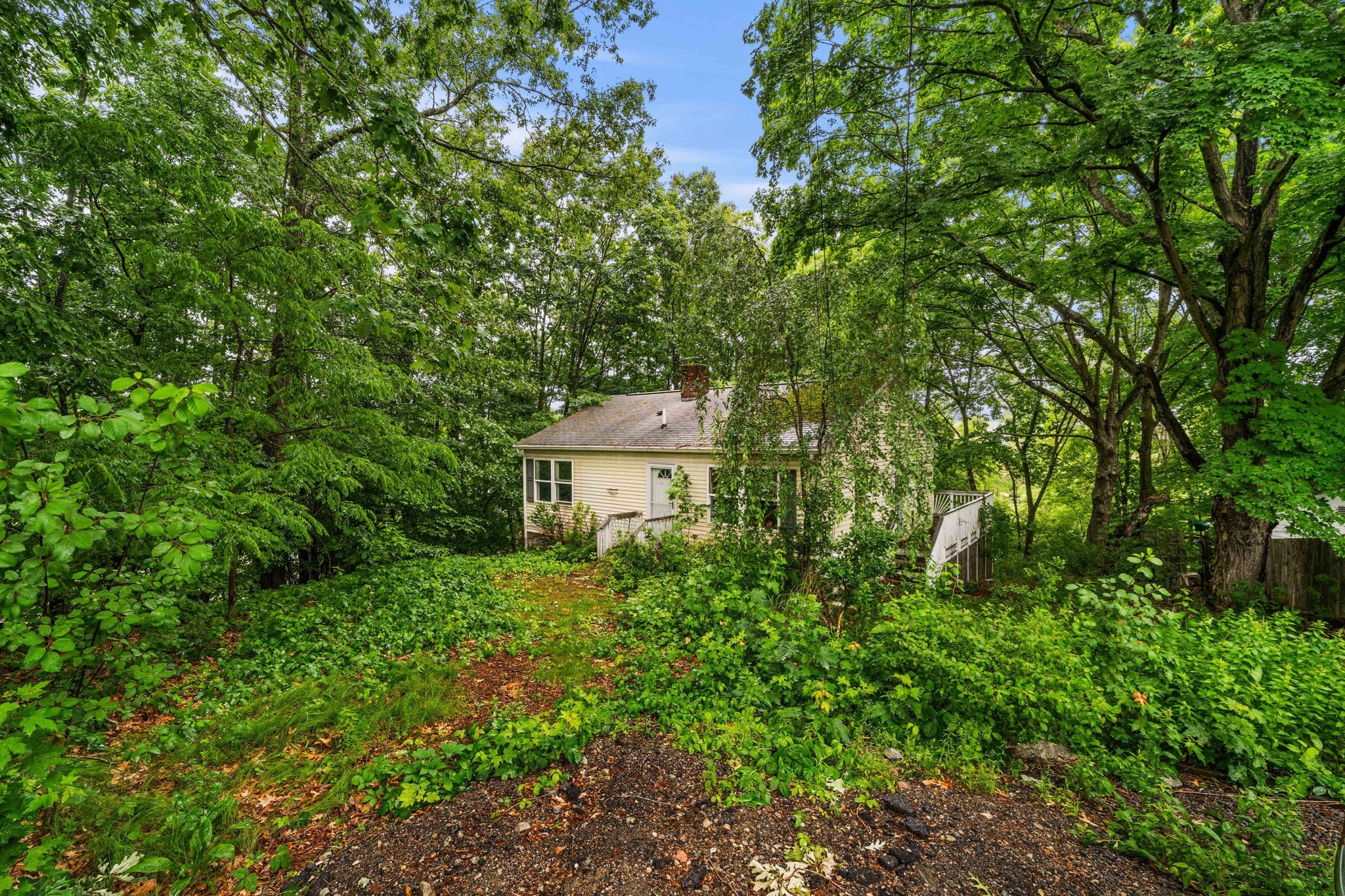 main property photo 14