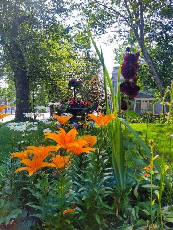 main property photo 12