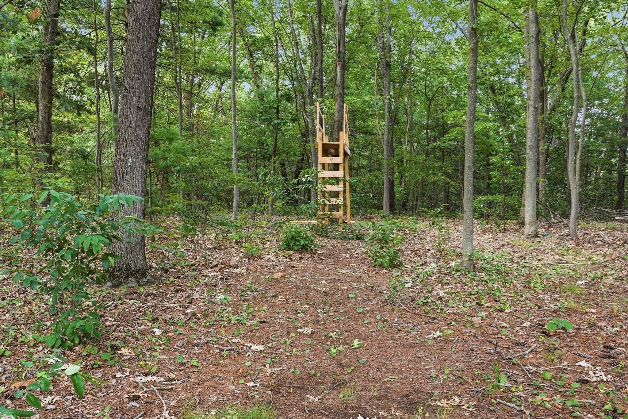 main property photo 34