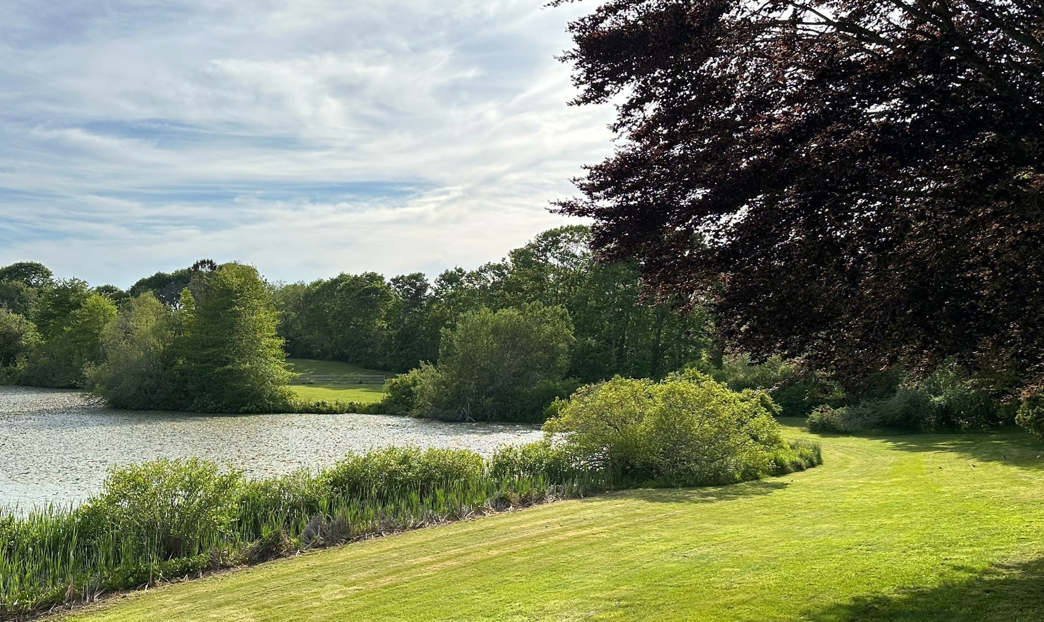main property photo 23