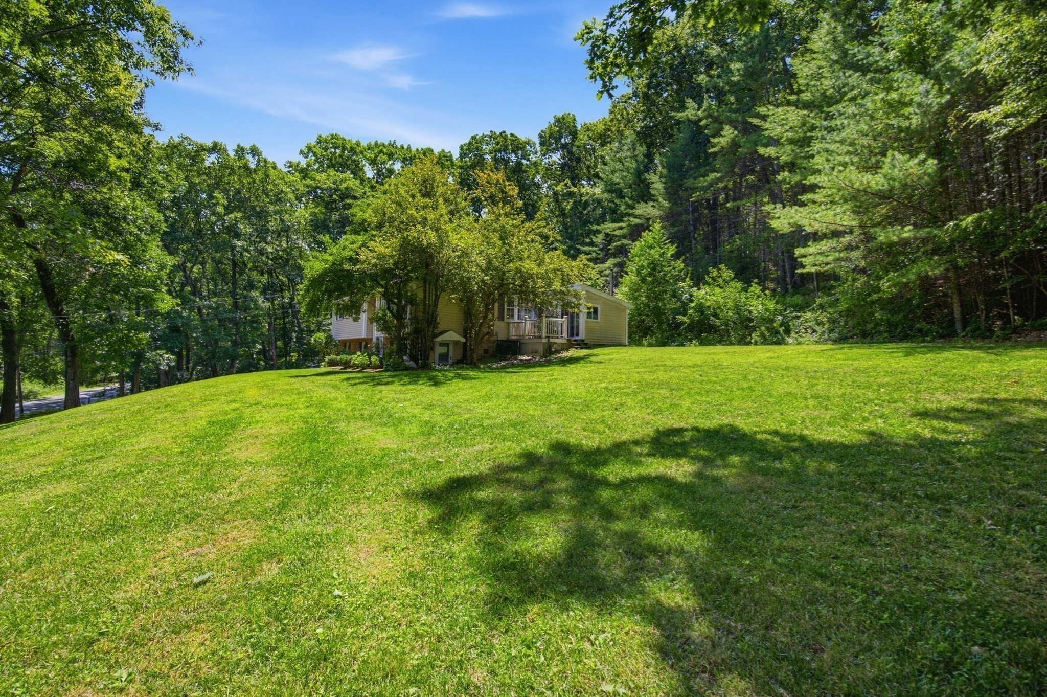main property photo 41