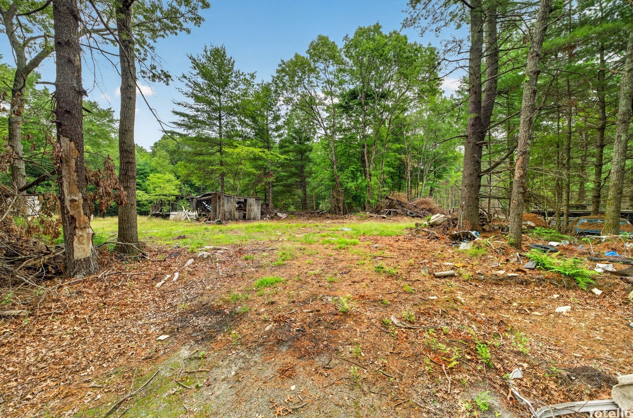 main property photo 10