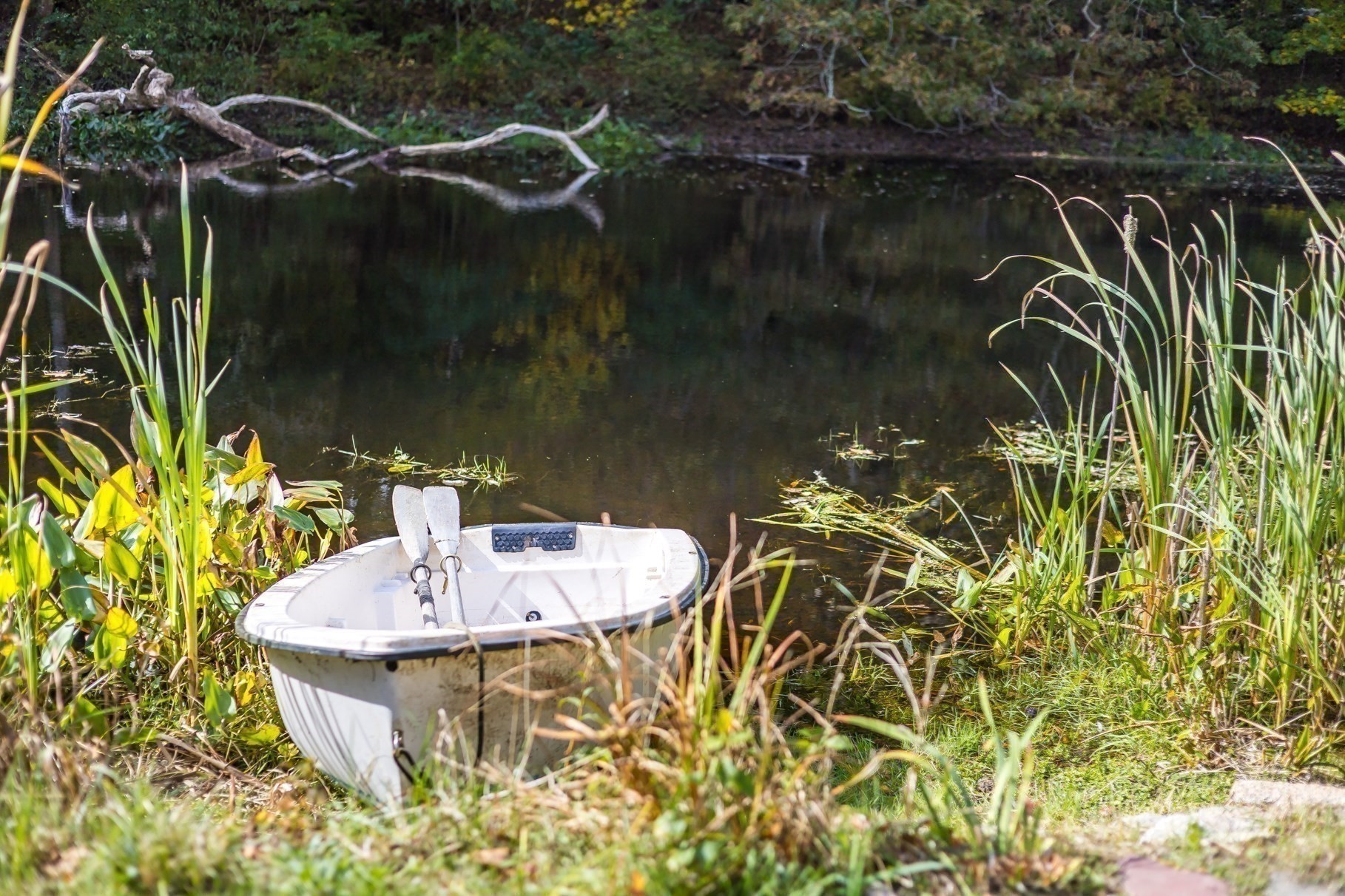 main property photo 33
