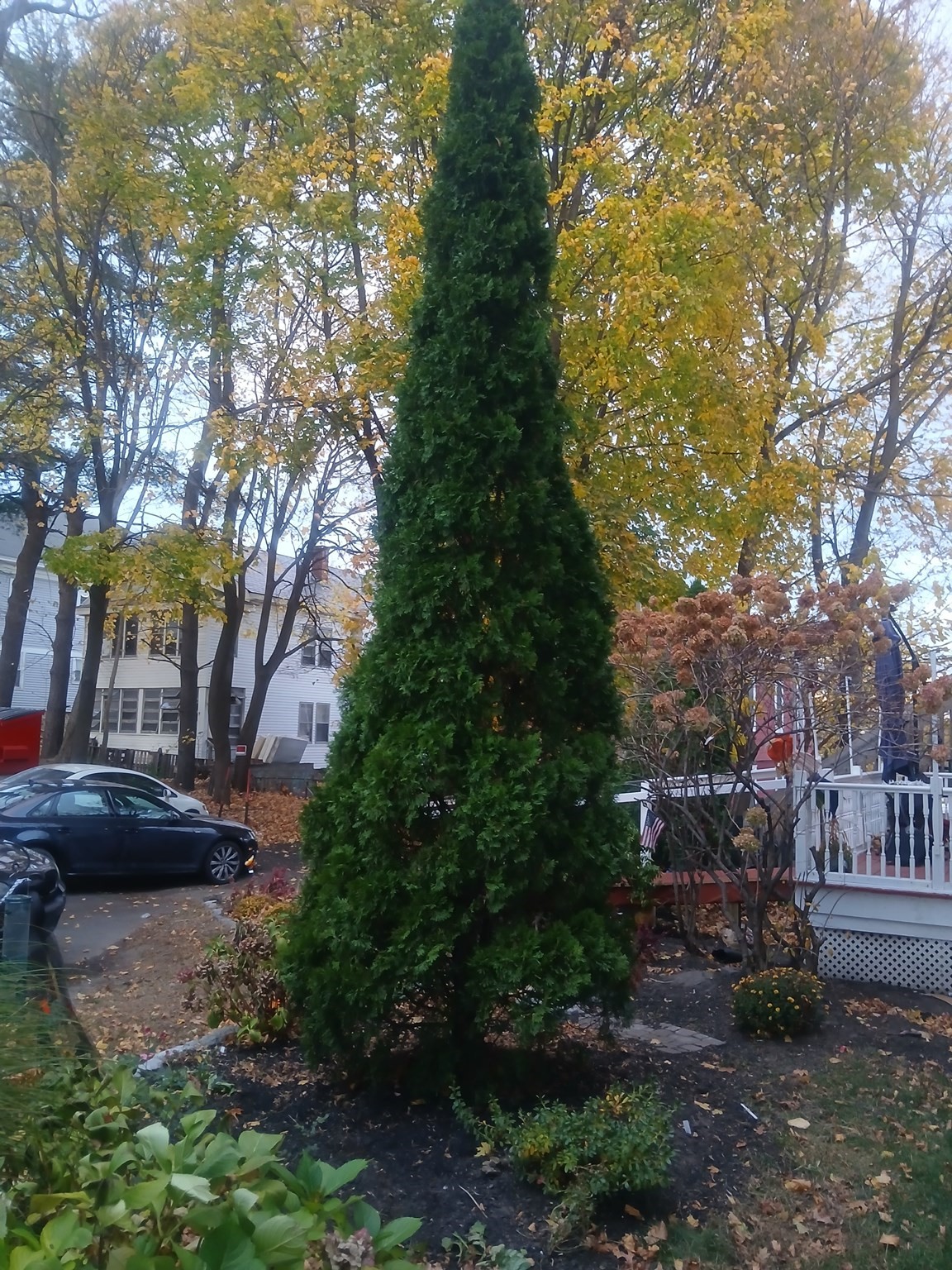 main property photo 16
