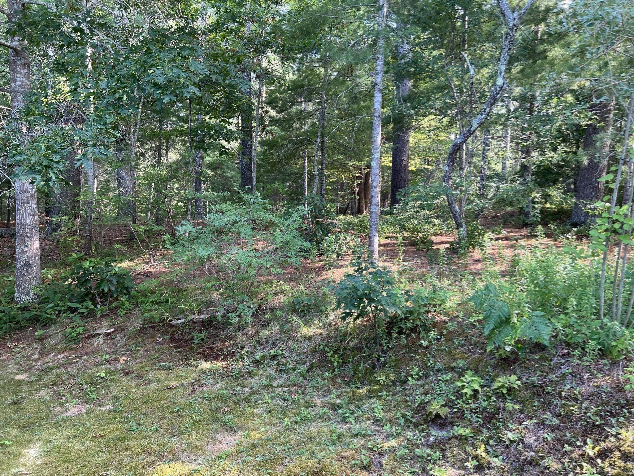 main property photo 25