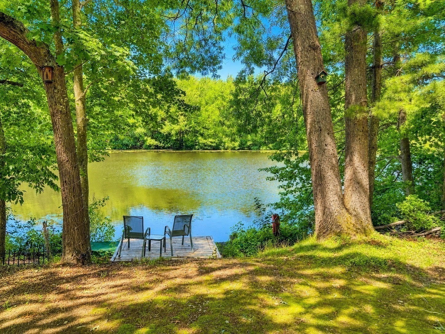 main property photo 32