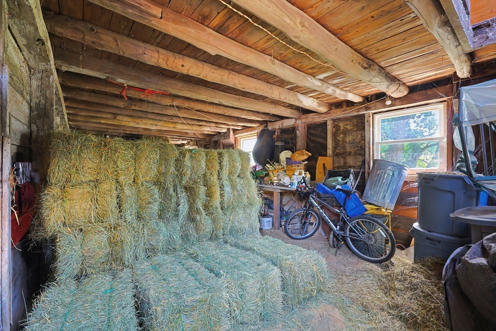 main property photo 39