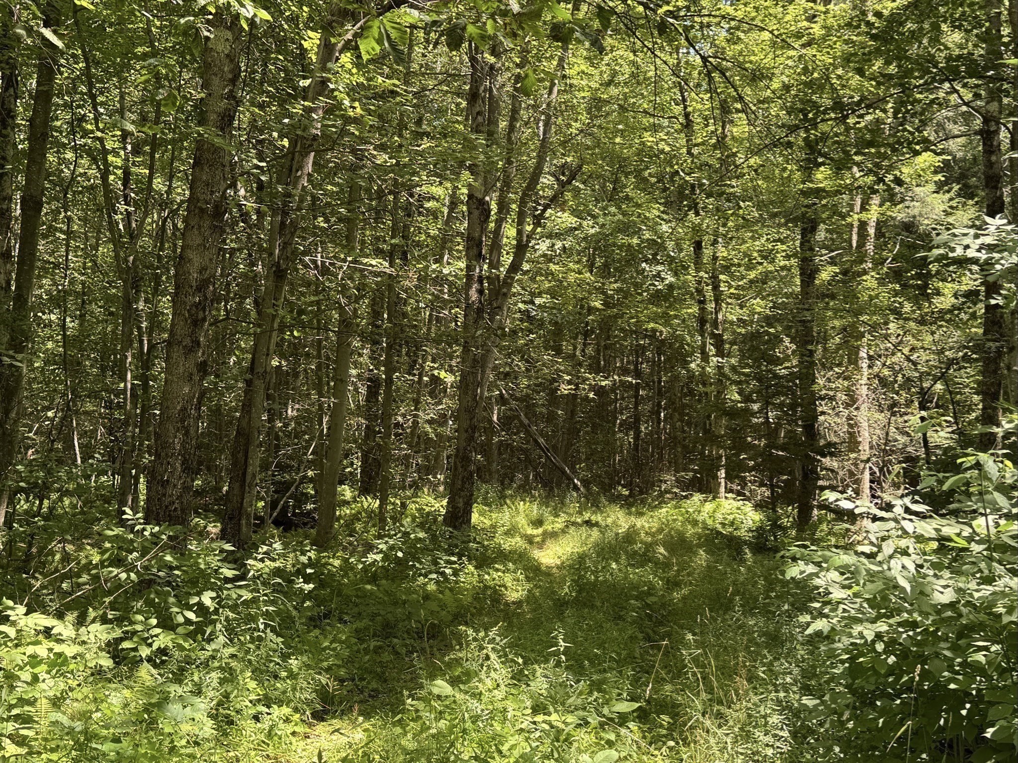 main property photo 15