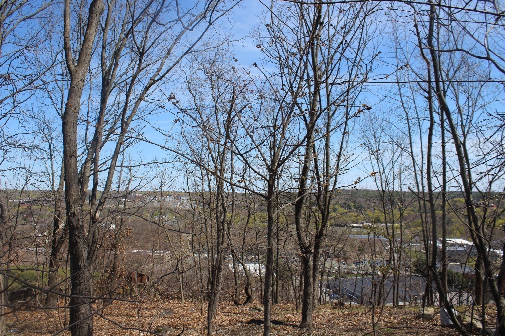 main property photo 13
