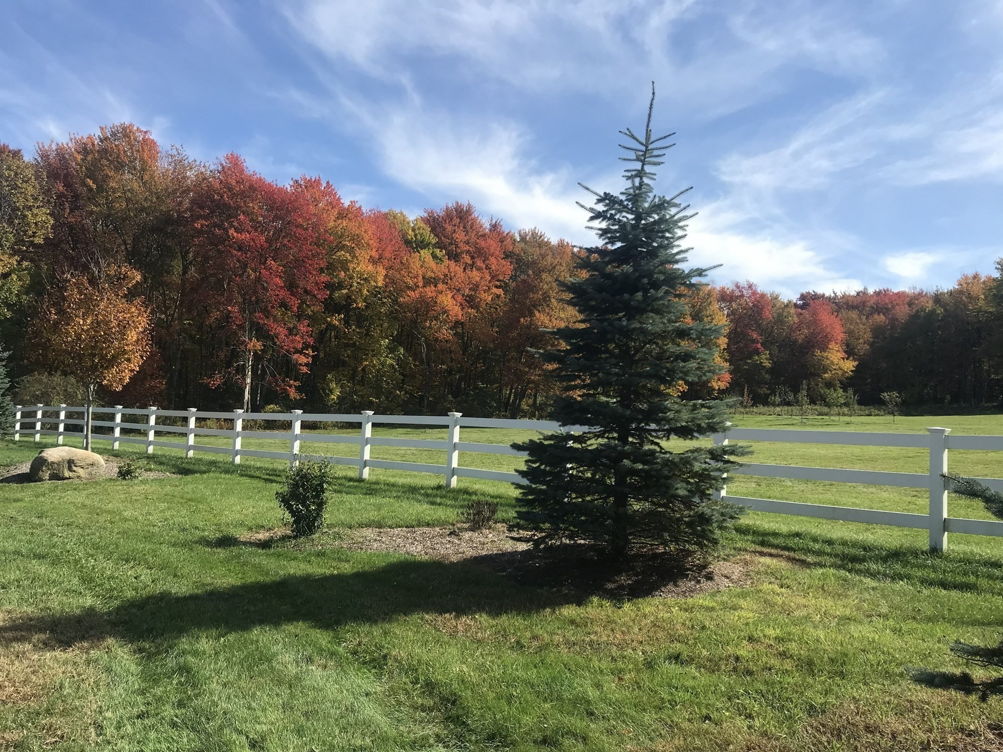 main property photo 32