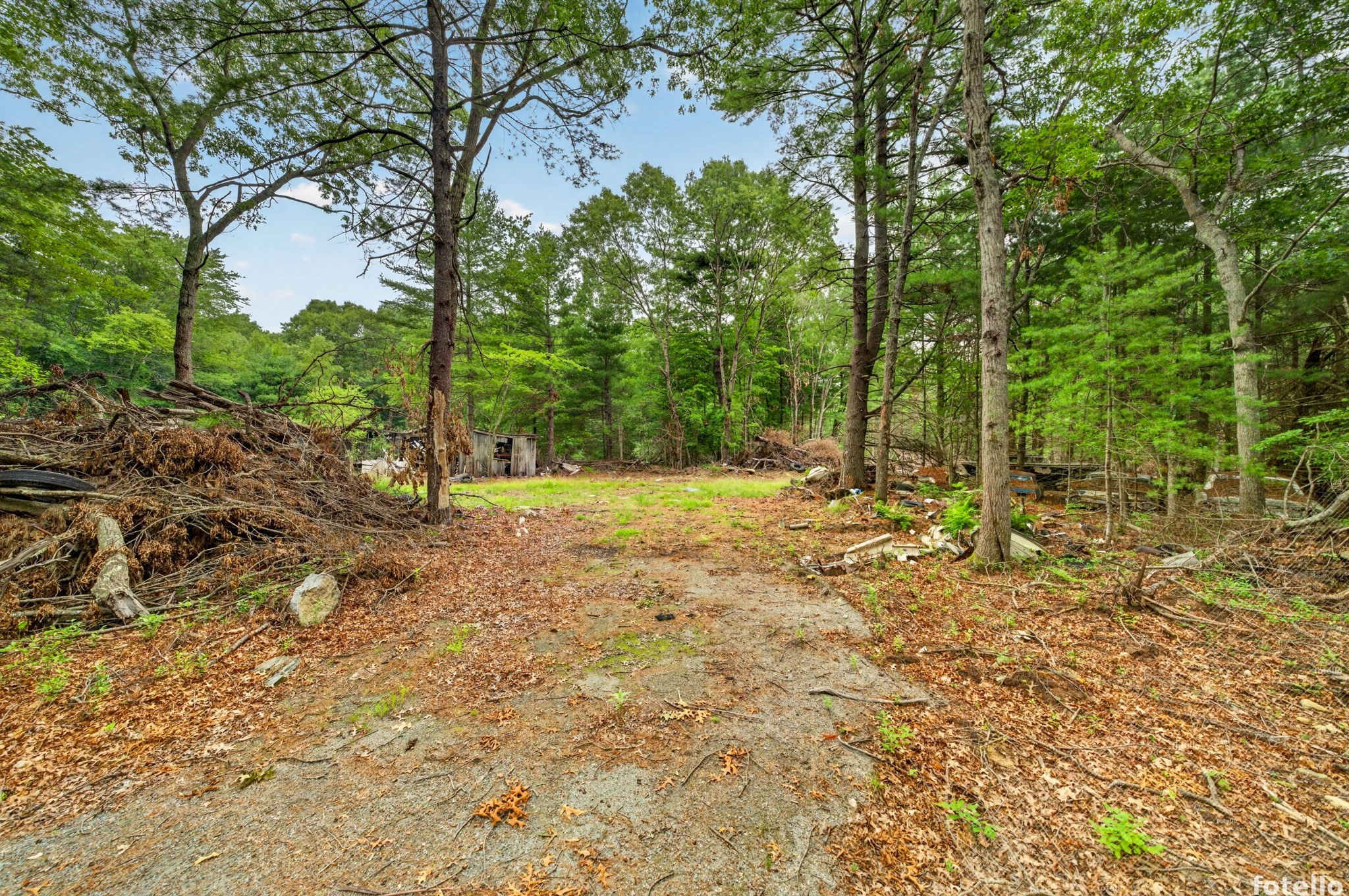 main property photo 11