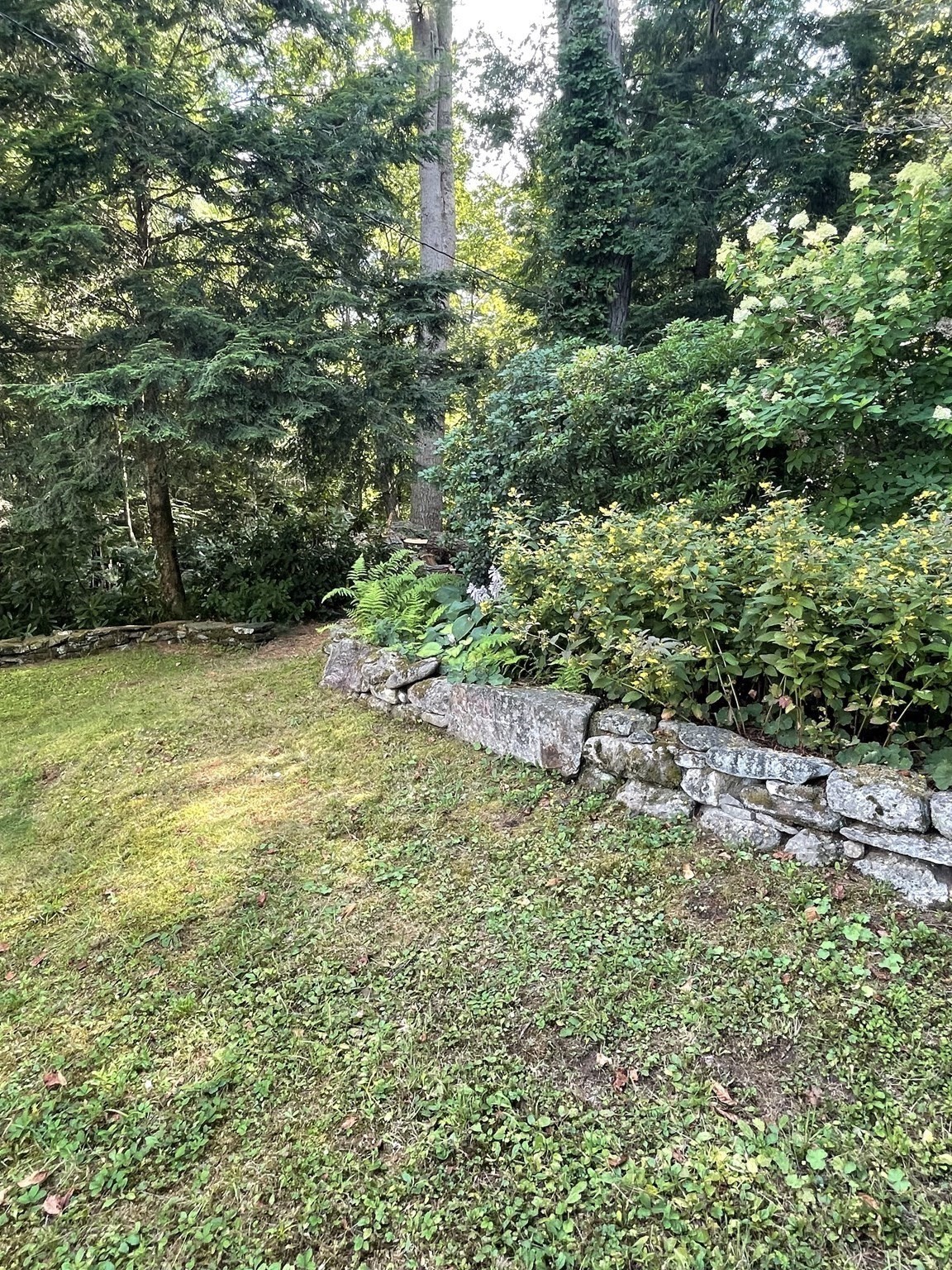main property photo 37