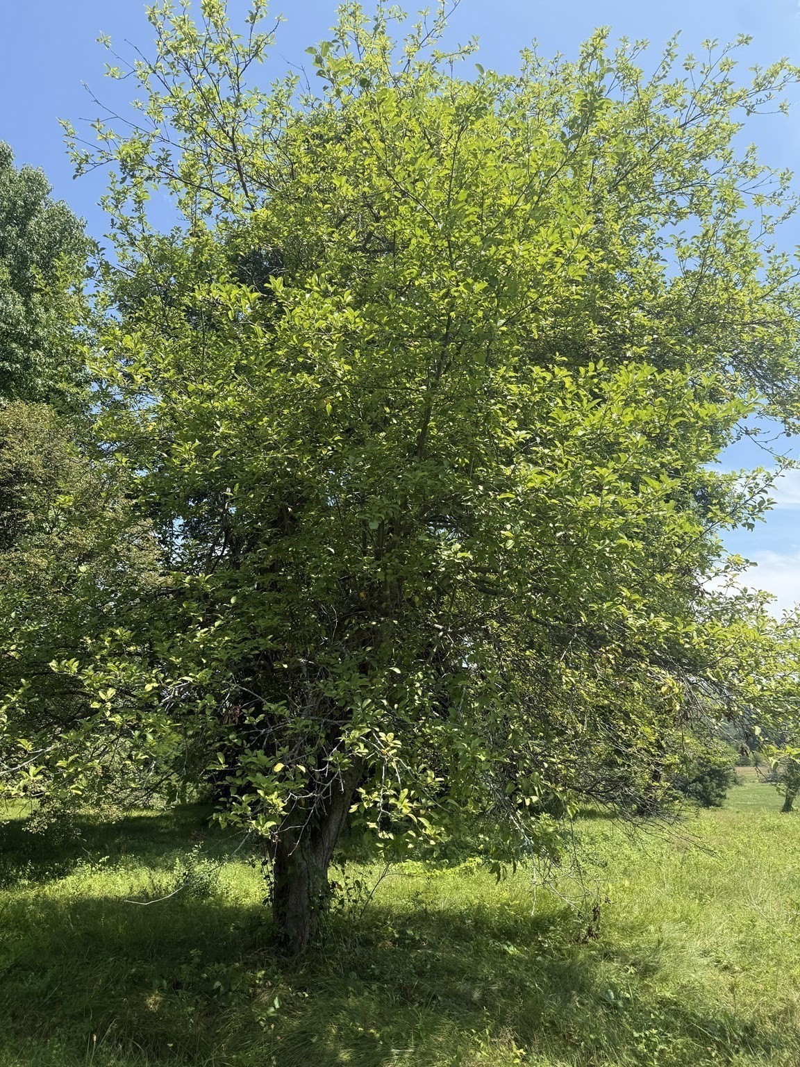 main property photo 41