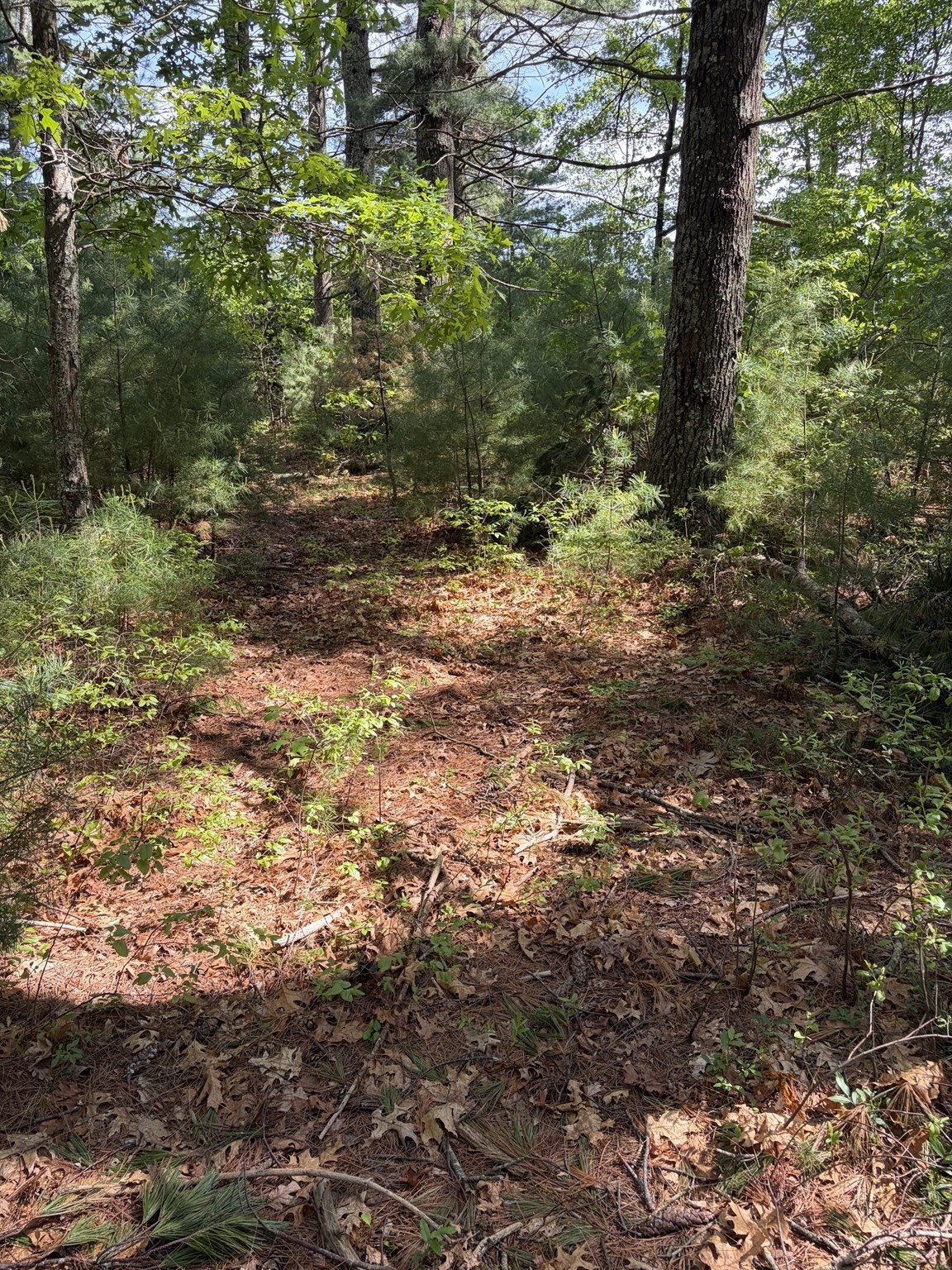 main property photo 30