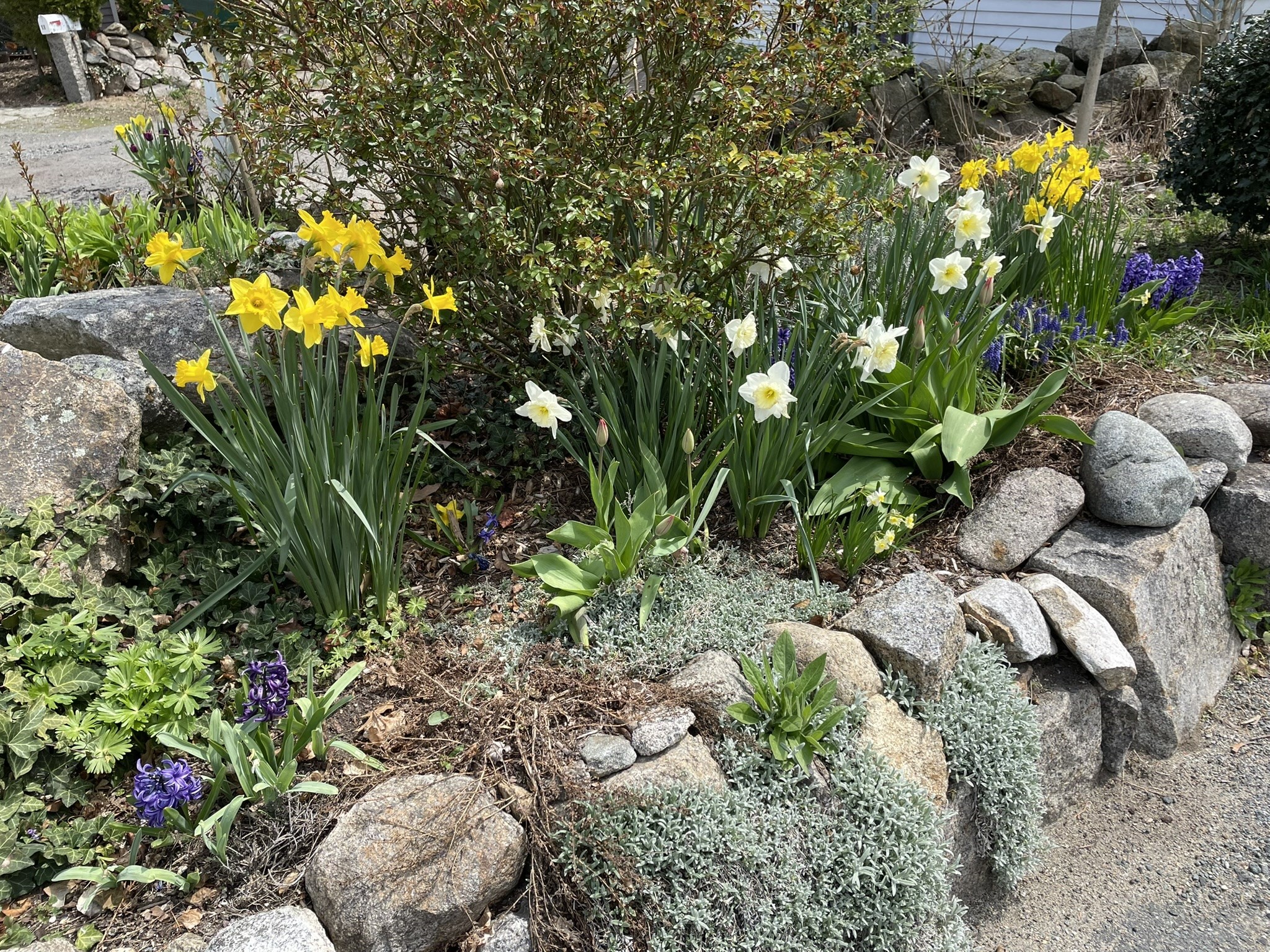main property photo 36