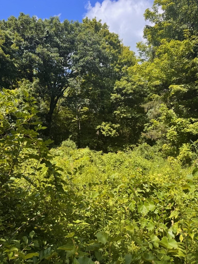 main property photo 10