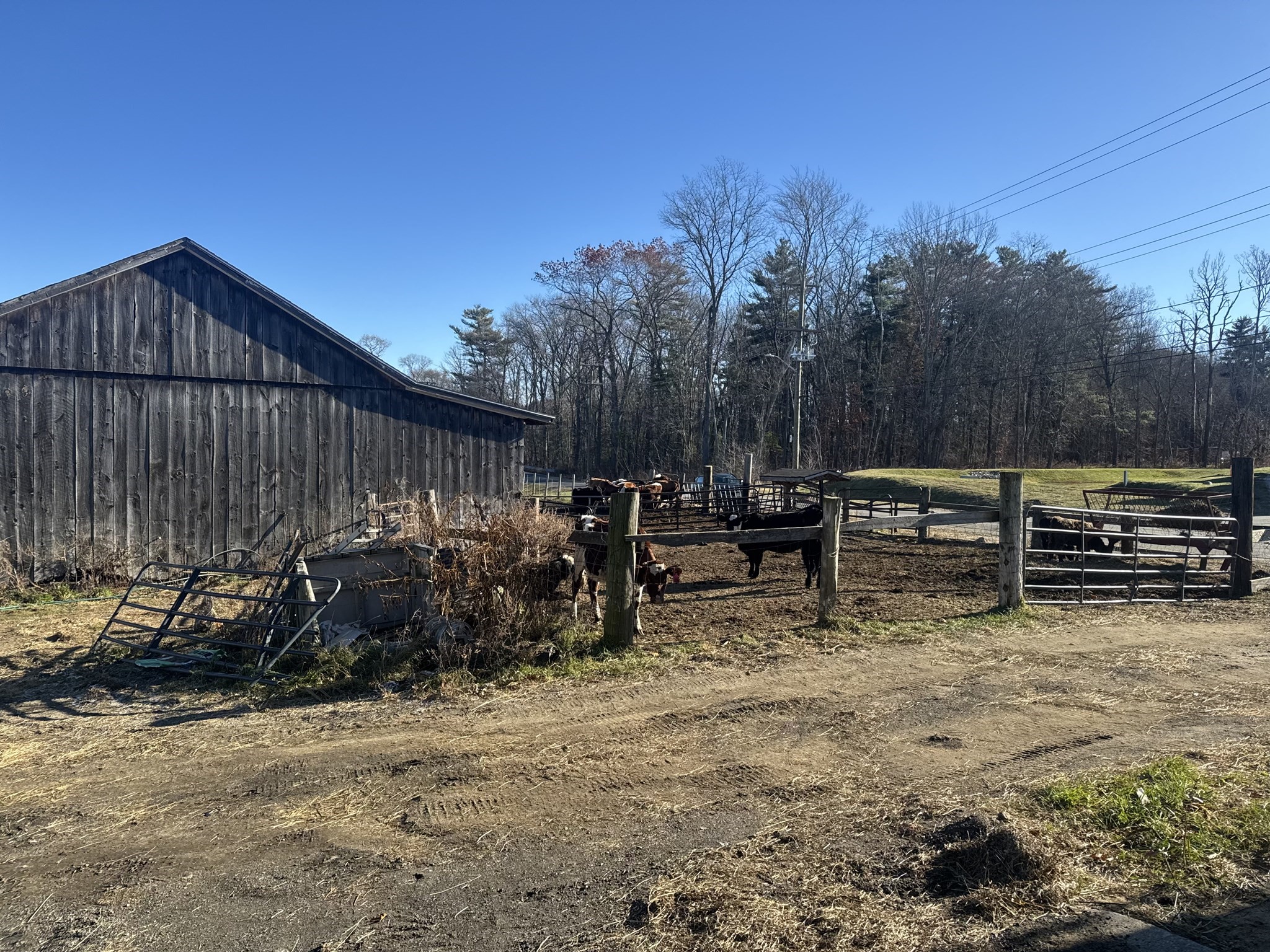 main property photo 5