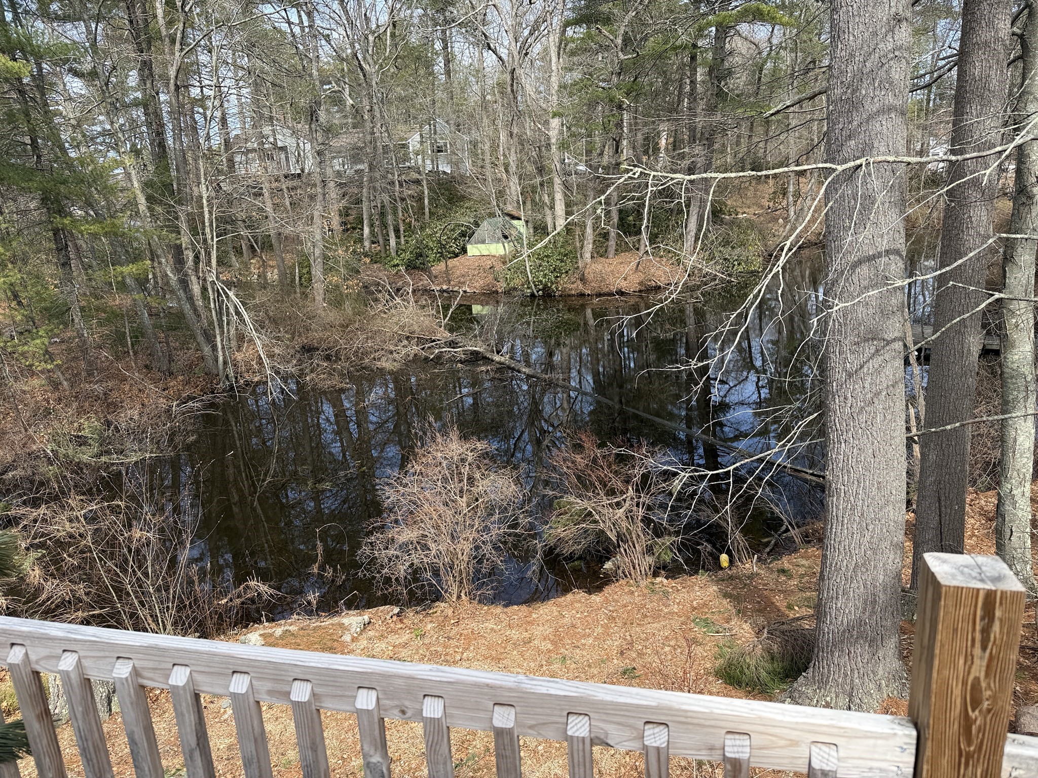main property photo 10