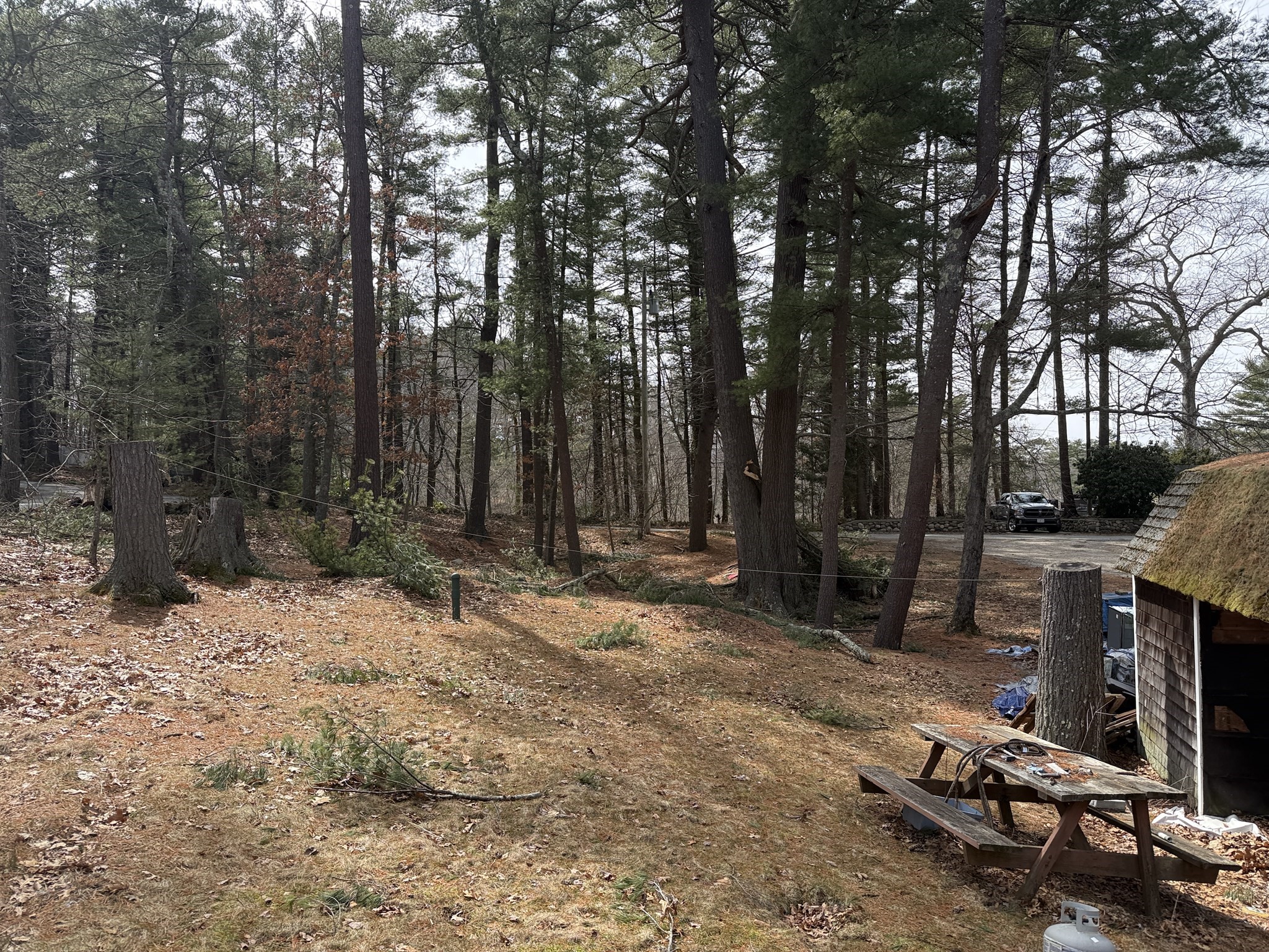 main property photo 6