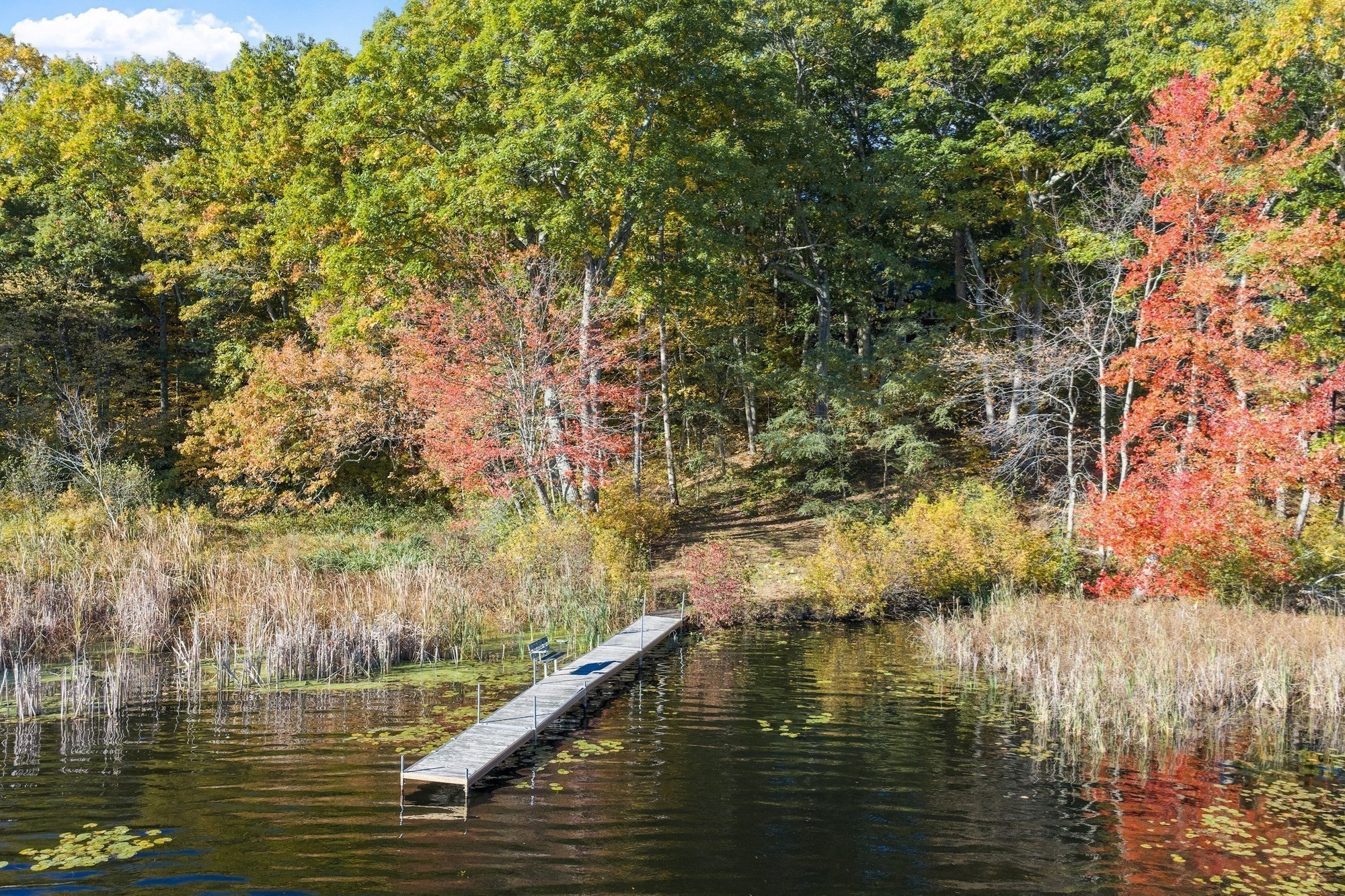 main property photo 40