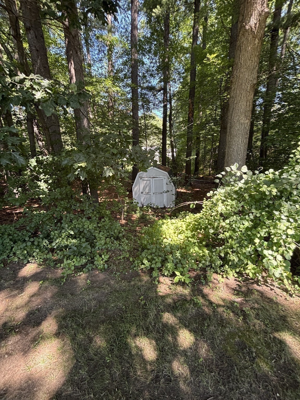 main property photo 27