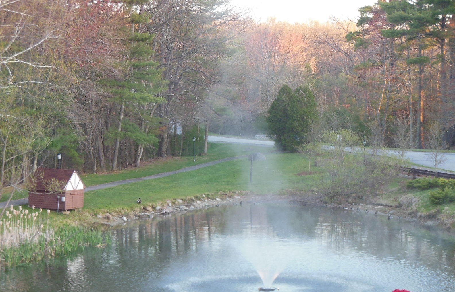 main property photo 27