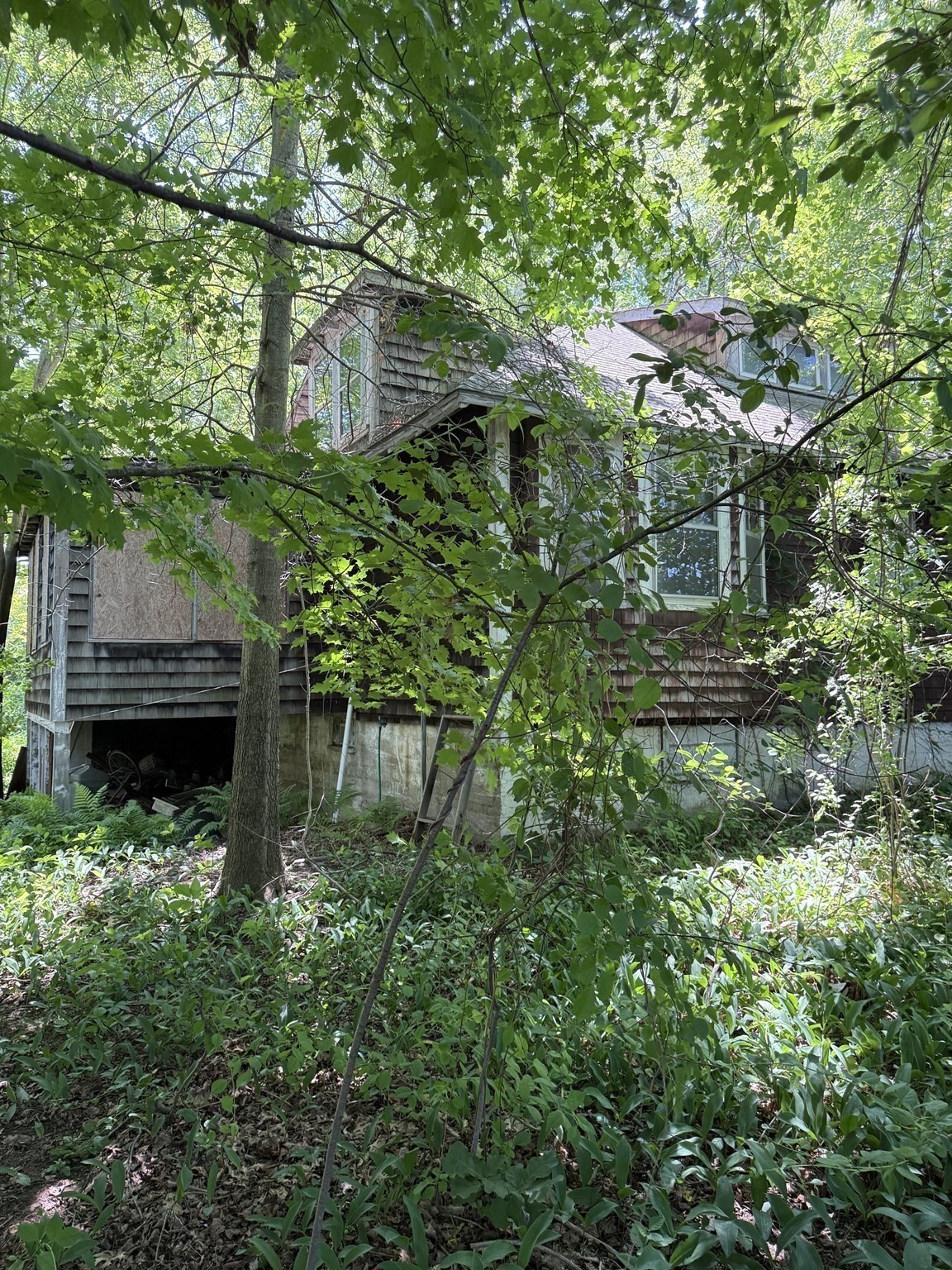 main property photo 4