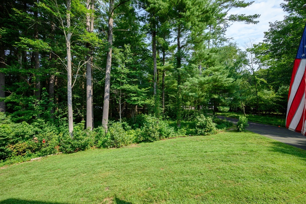 property viewer photo 3