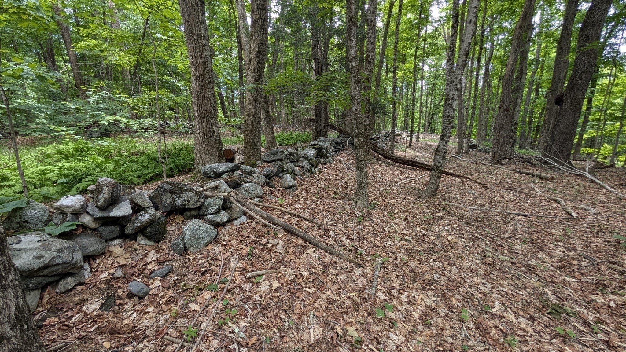 main property photo 15