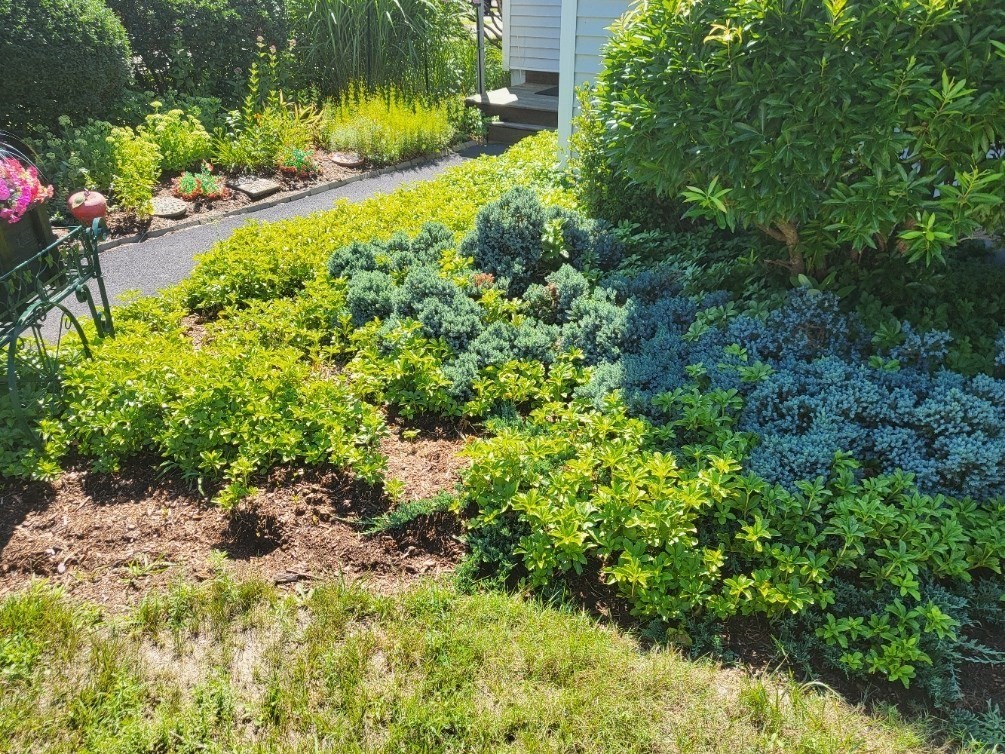 main property photo 14