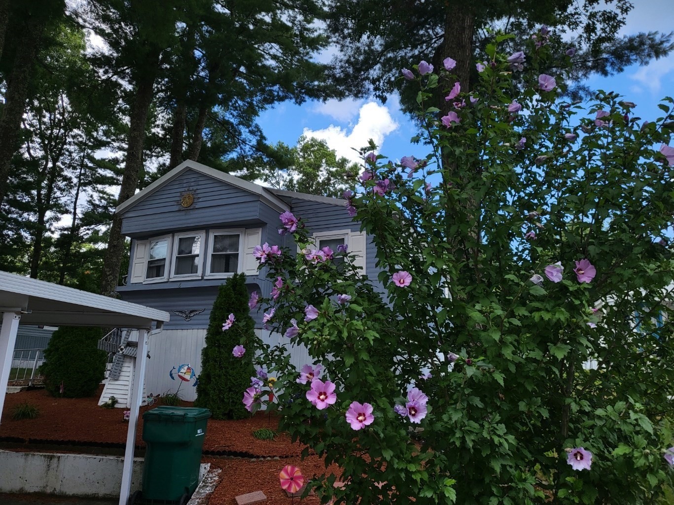 main property photo 14