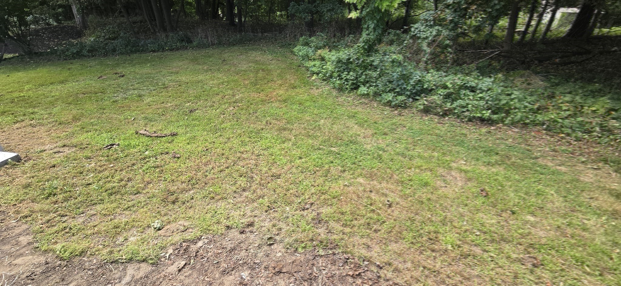 main property photo 38