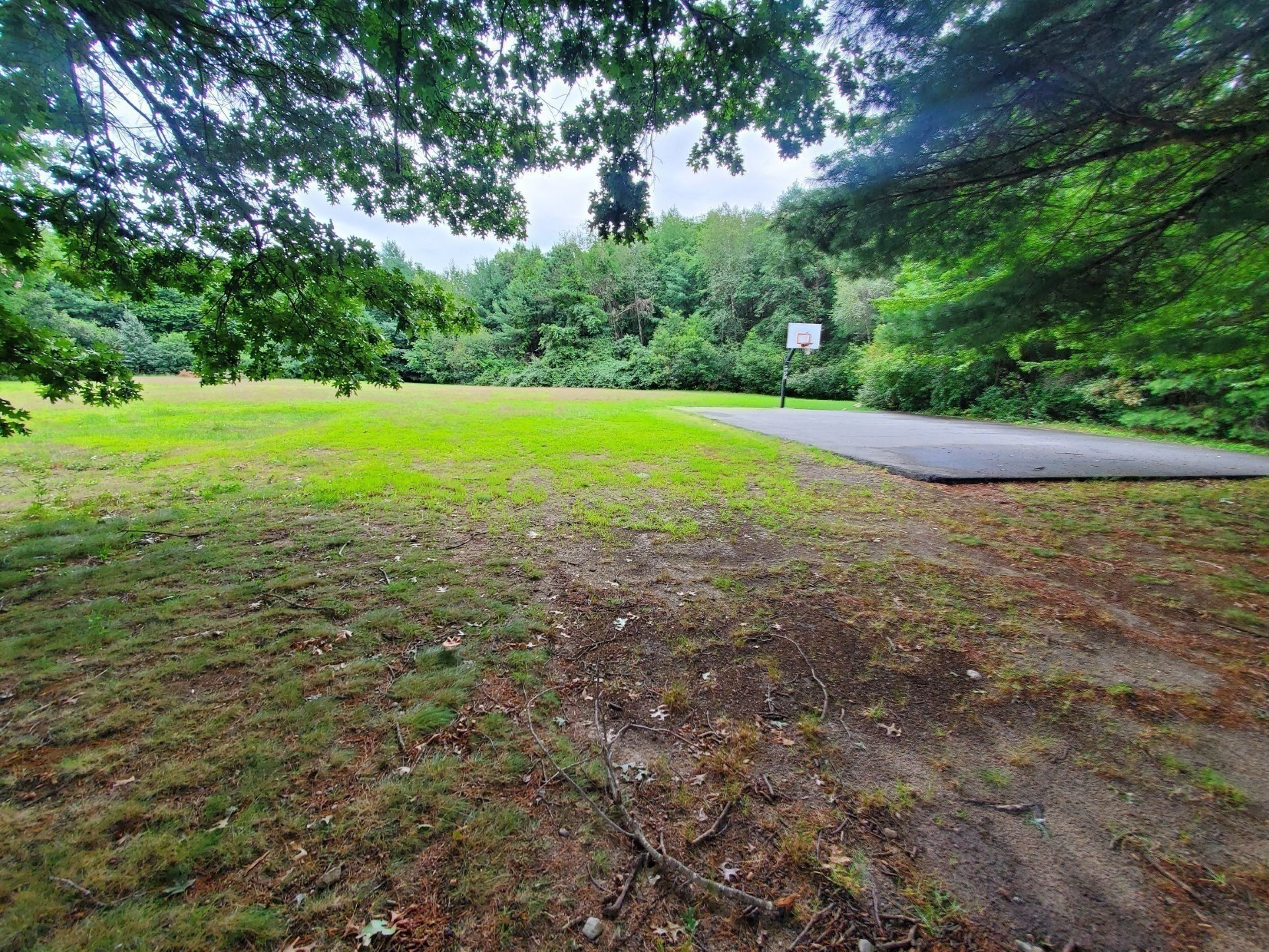 main property photo 13