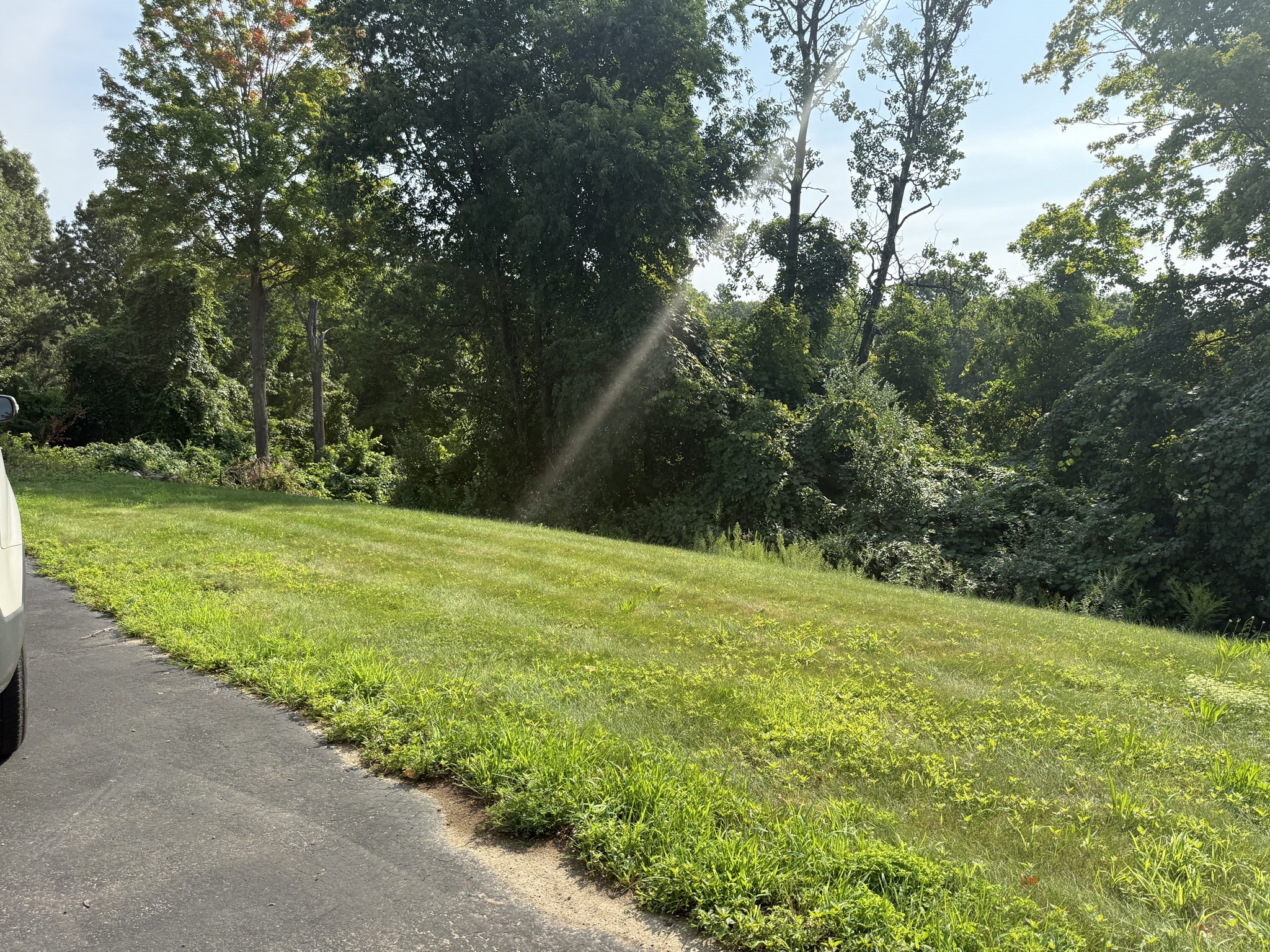 main property photo 20
