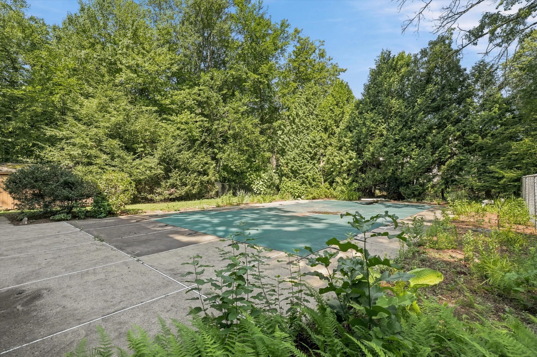 main property photo 33