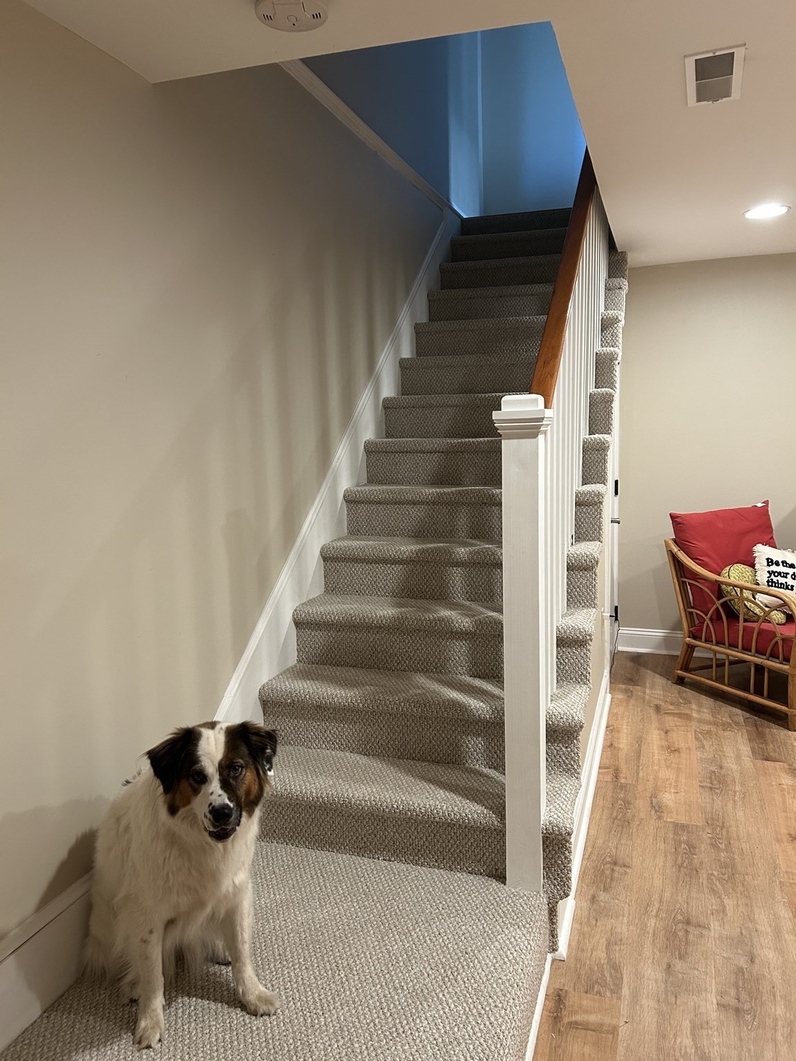 main property photo 13