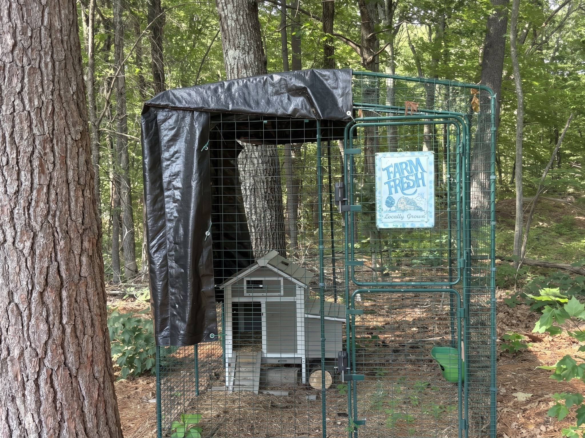 main property photo 9