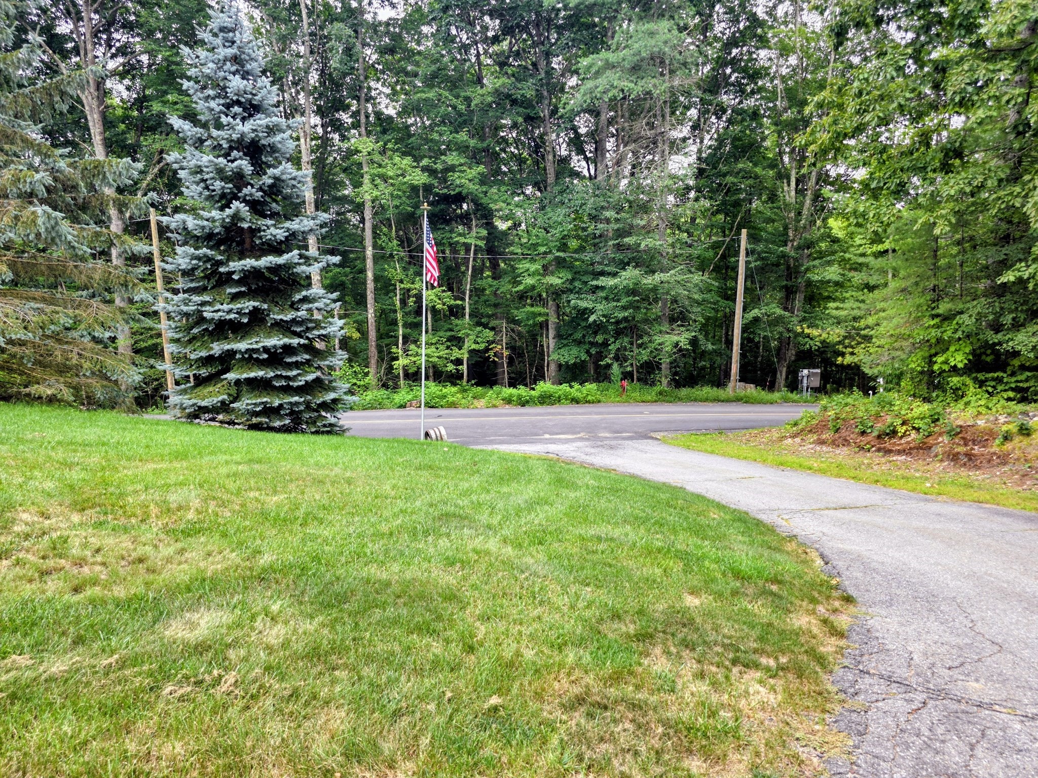 main property photo 41